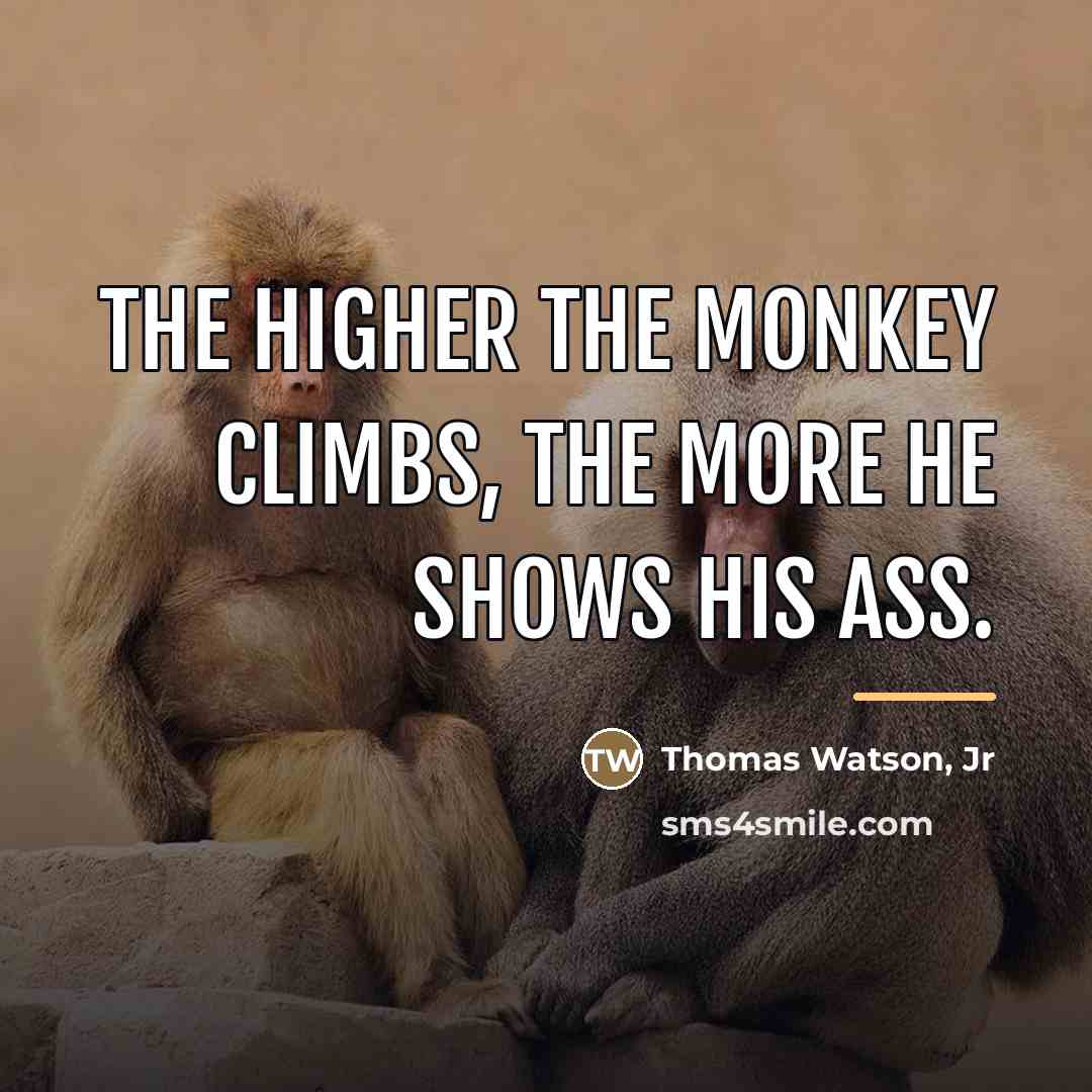 “The higher the monkey climbs, the more he shows his…” quote by Thomas Watson, Jr