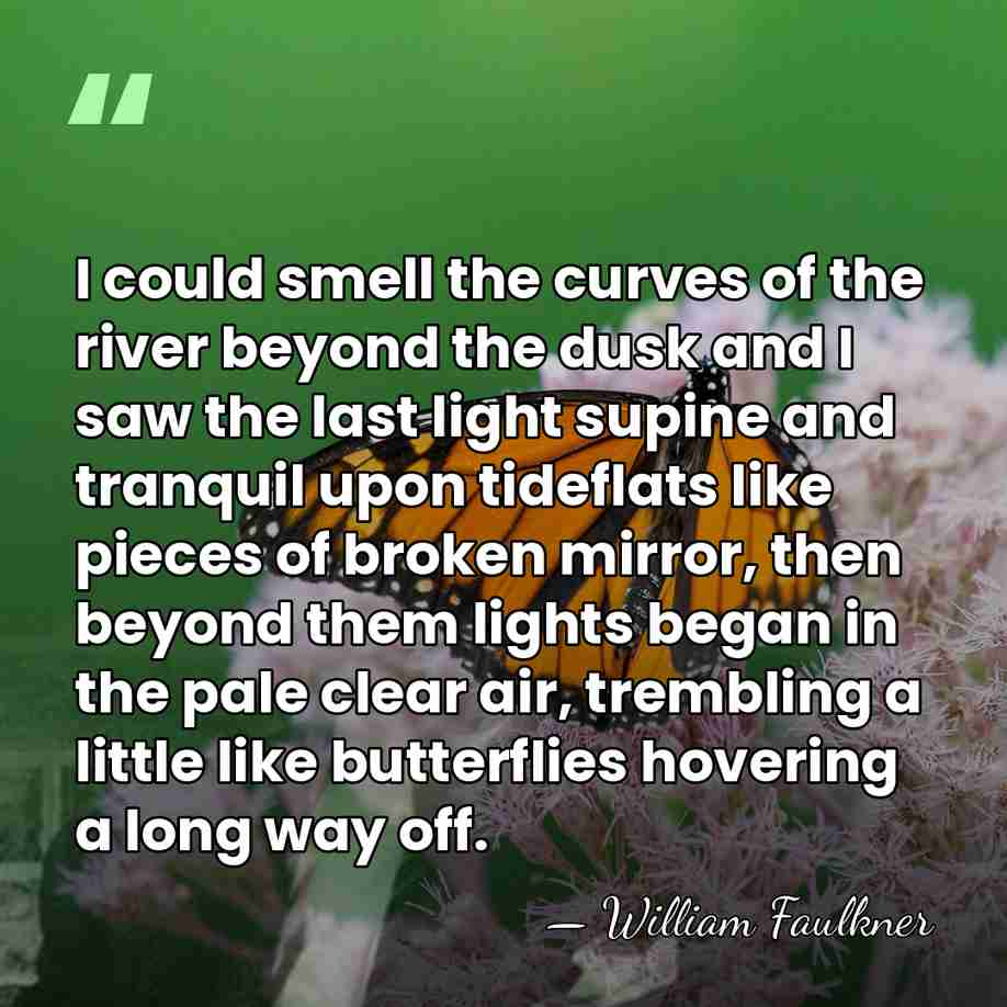 I could smell the curves of the river beyond the dusk and&hellip; - William Faulkner