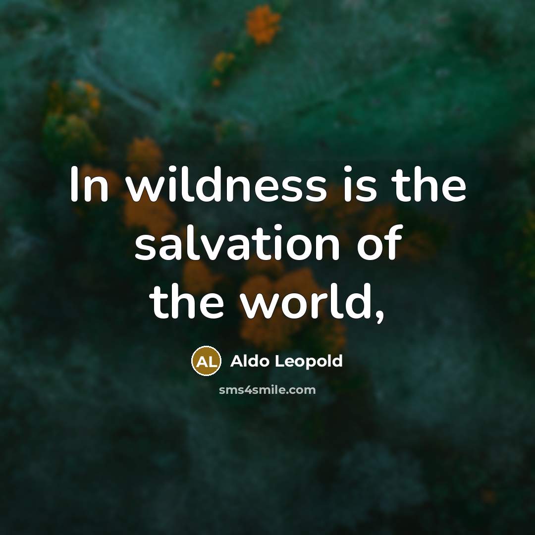 “In wildness is the salvation of the world,…” quote by Aldo Leopold