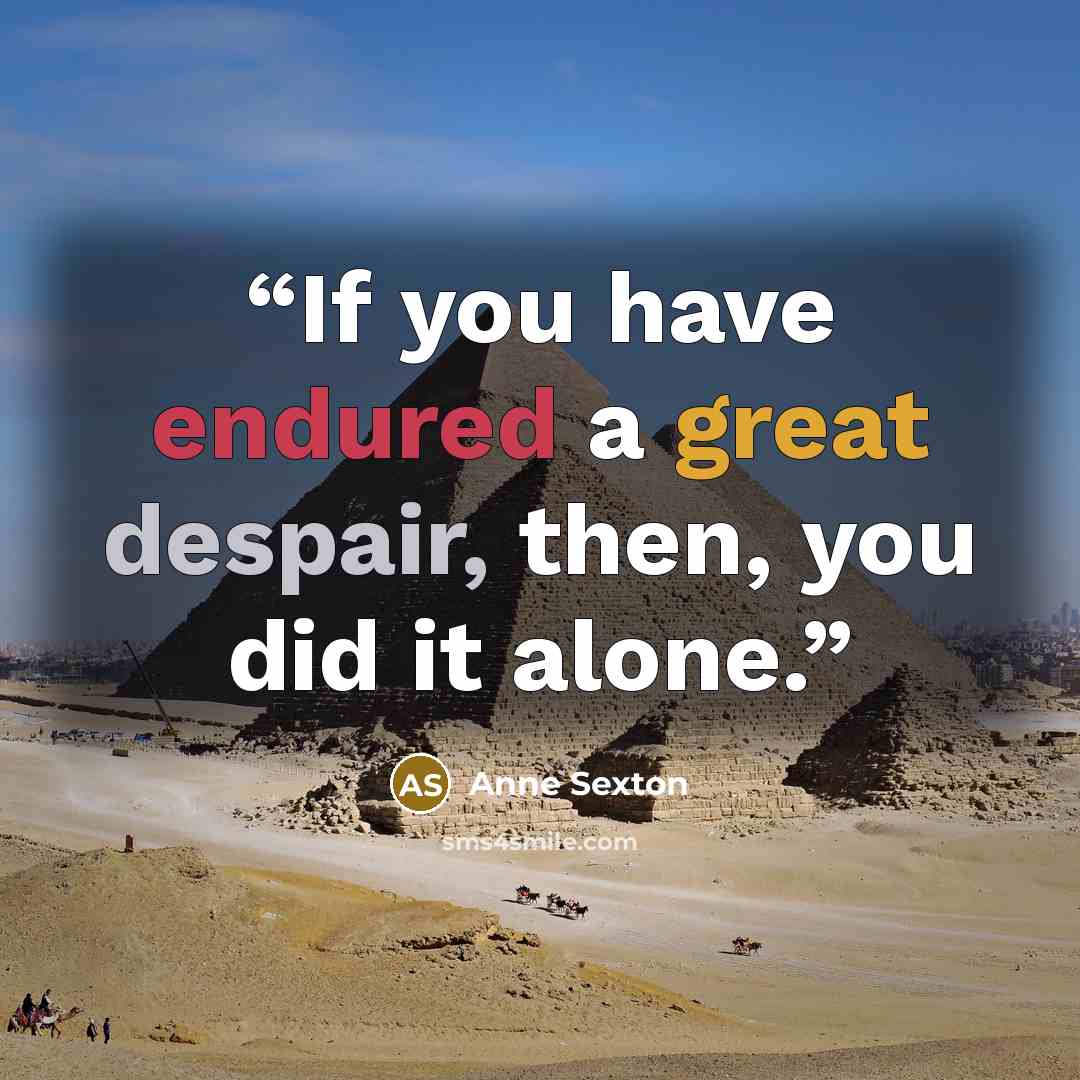 “If you have endured a great despair, then, you did it alone.” quote by Anne Sexton