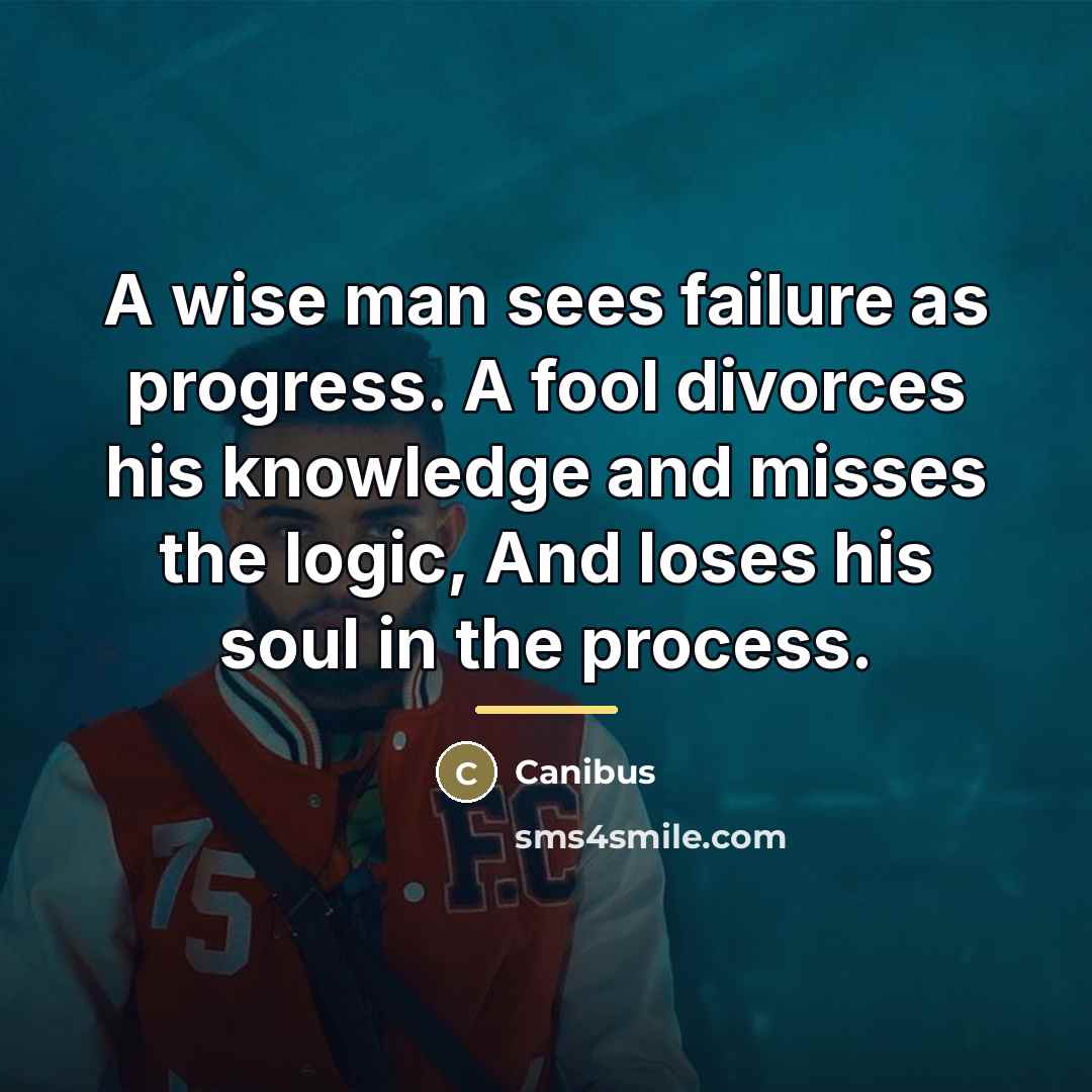 “A wise man sees failure as progress. A fool divorces…” quote by Canibus