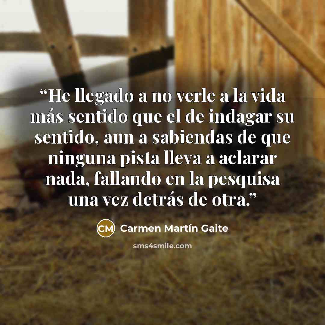 “He llegado a no verle a la vida más sentido que el de indagar su sentido, aun a sabiendas de que ninguna pista lleva a aclarar nada, fallando en la pesquisa una vez detrás de otra.” quote by Carmen Martín Gaite