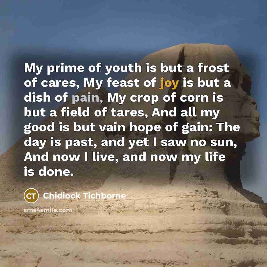 “My prime of youth is but a frost of cares,…” quote by Chidiock Tichborne