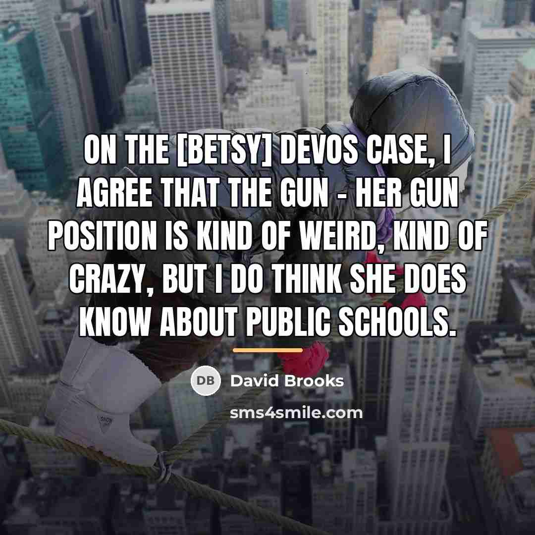 “On the [Betsy] DeVos case, I agree that the gun…” quote by David Brooks