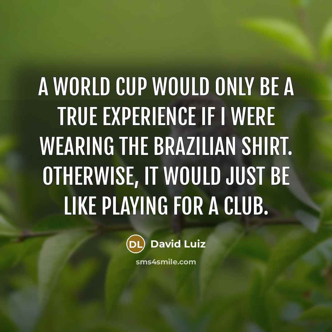 “A World Cup would only be a true experience if I were wearing the Brazilian shirt. Otherwise, it would just be like playing for a club.” quote by David Luiz