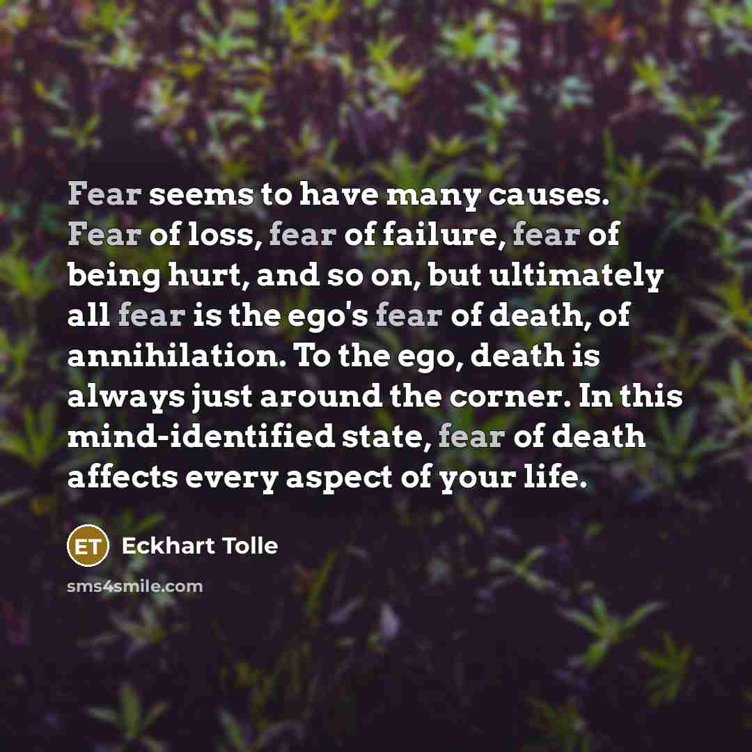 “Fear seems to have many causes. Fear of loss, fear…” quote by Eckhart Tolle