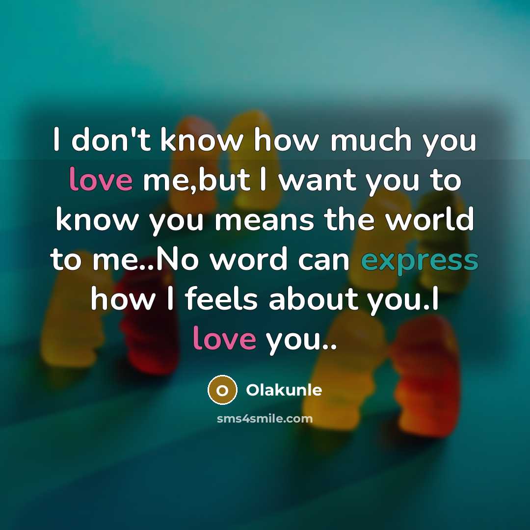 “I don't know how much you love me,but I want you to know you means the world to me..No word can express how I feels about you.I love you..” quote by Olakunle