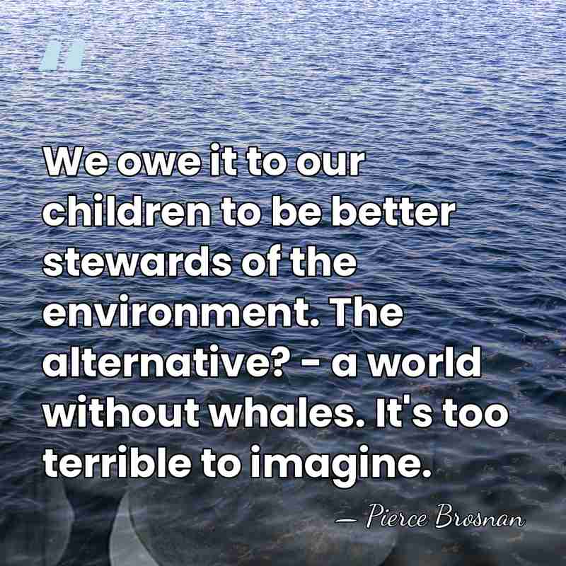 We owe it to our children to be better stewards of the&hellip; - Pierce Brosnan