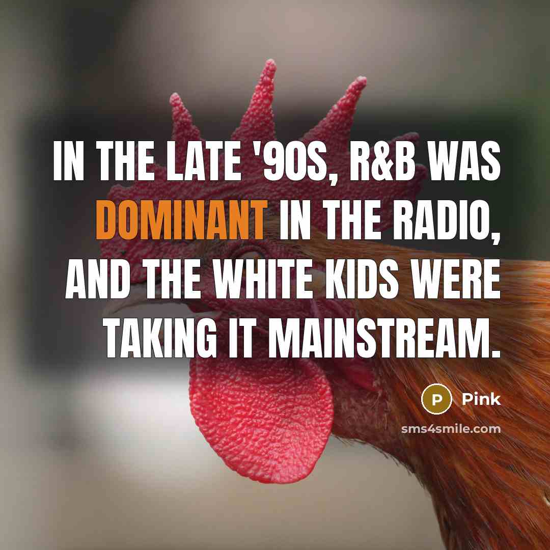 “In the late '90s, R&B was dominant in the radio,…” quote by Pink