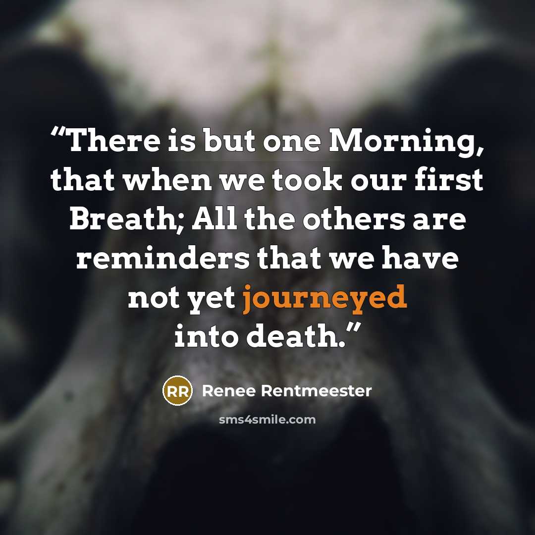 “There is but one Morning, that when we took our first Breath; All the others are reminders that we have not yet journeyed into death.” quote by Renee Rentmeester