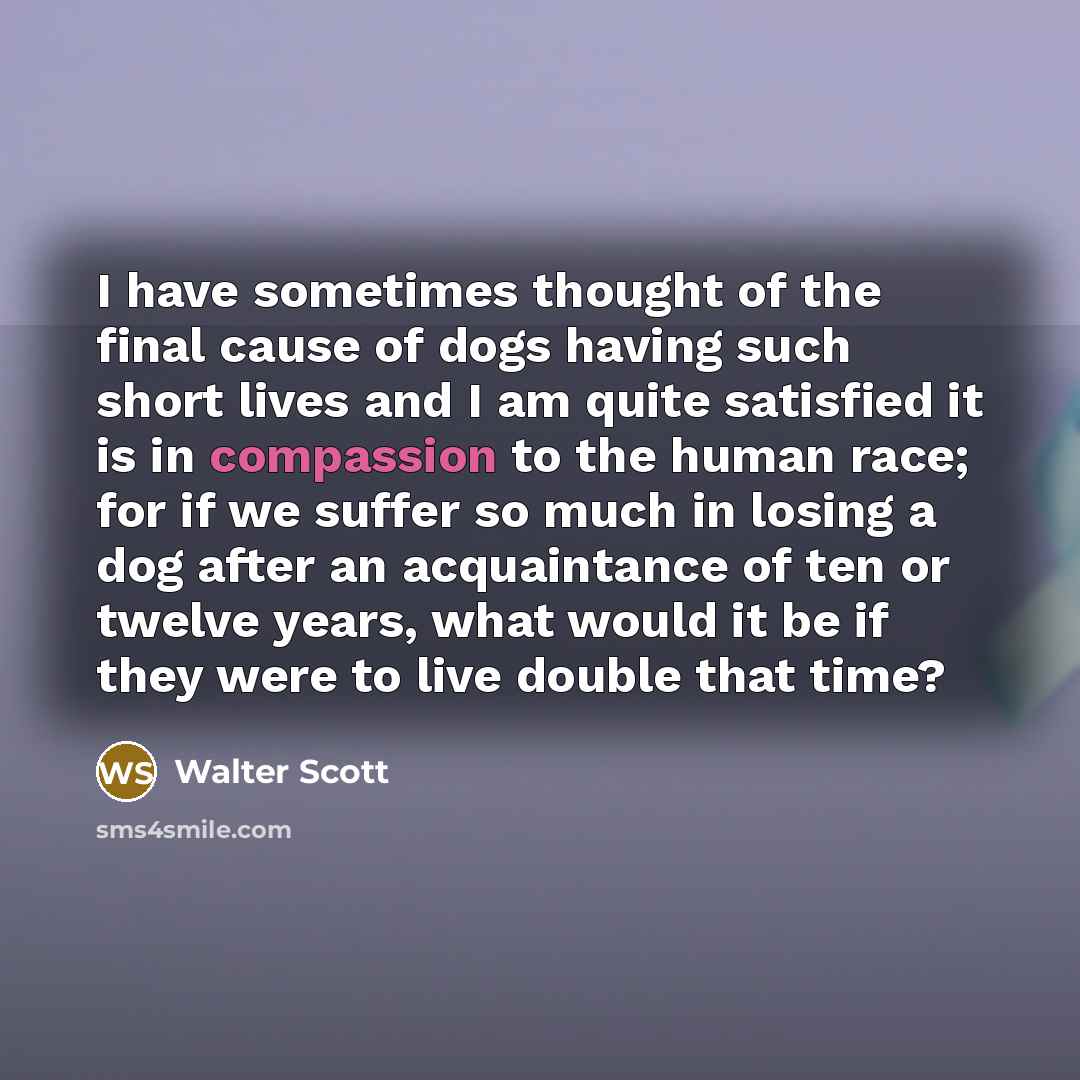 “I have sometimes thought of the final cause of dogs…” quote by Walter Scott