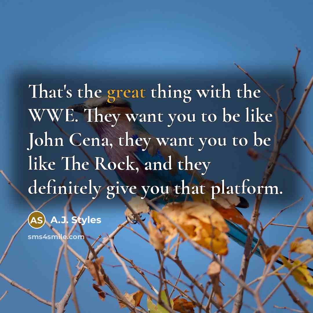 “That's the great thing with the WWE. They want you…” quote by A.J. Styles