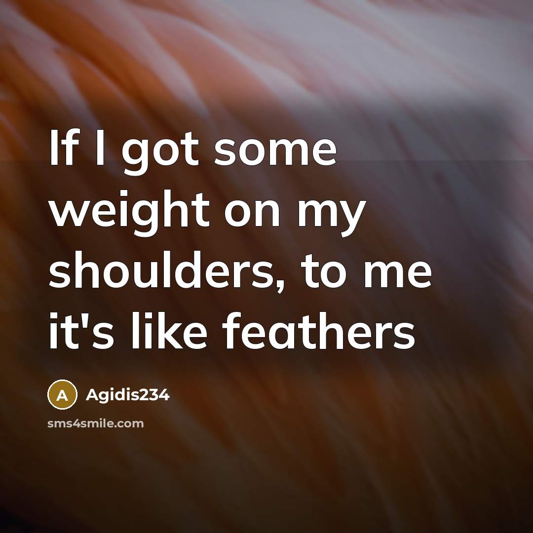 “If I got some weight on my shoulders, to me it's like feathers” quote by Agidis234