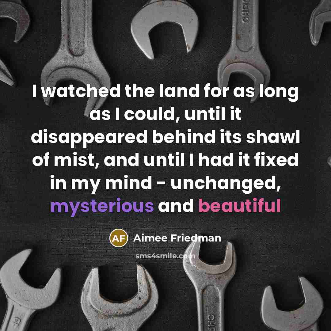 “I watched the land for as long as I could,…” quote by Aimee Friedman