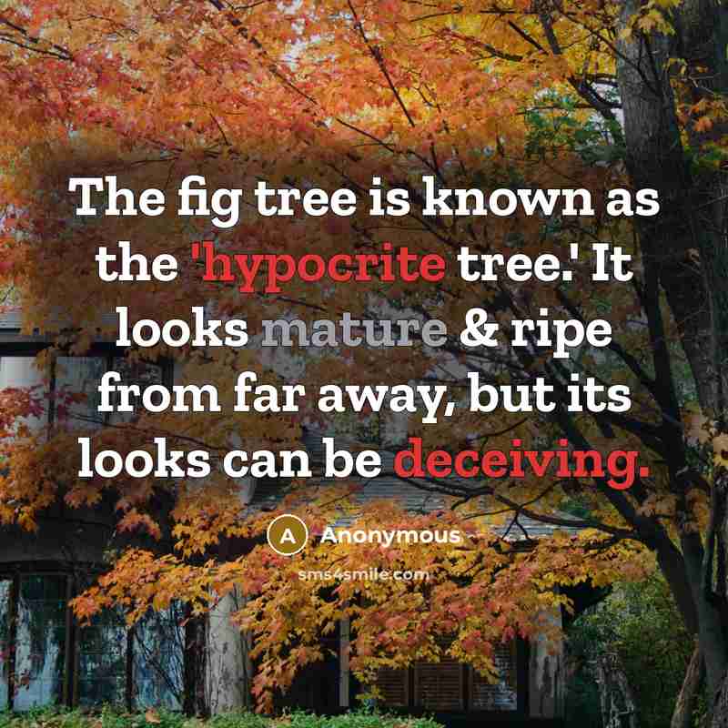 “The fig tree is known as the 'hypocrite tree.' It looks mature & ripe from far away, but its looks can be deceiving.” quote by Anonymous