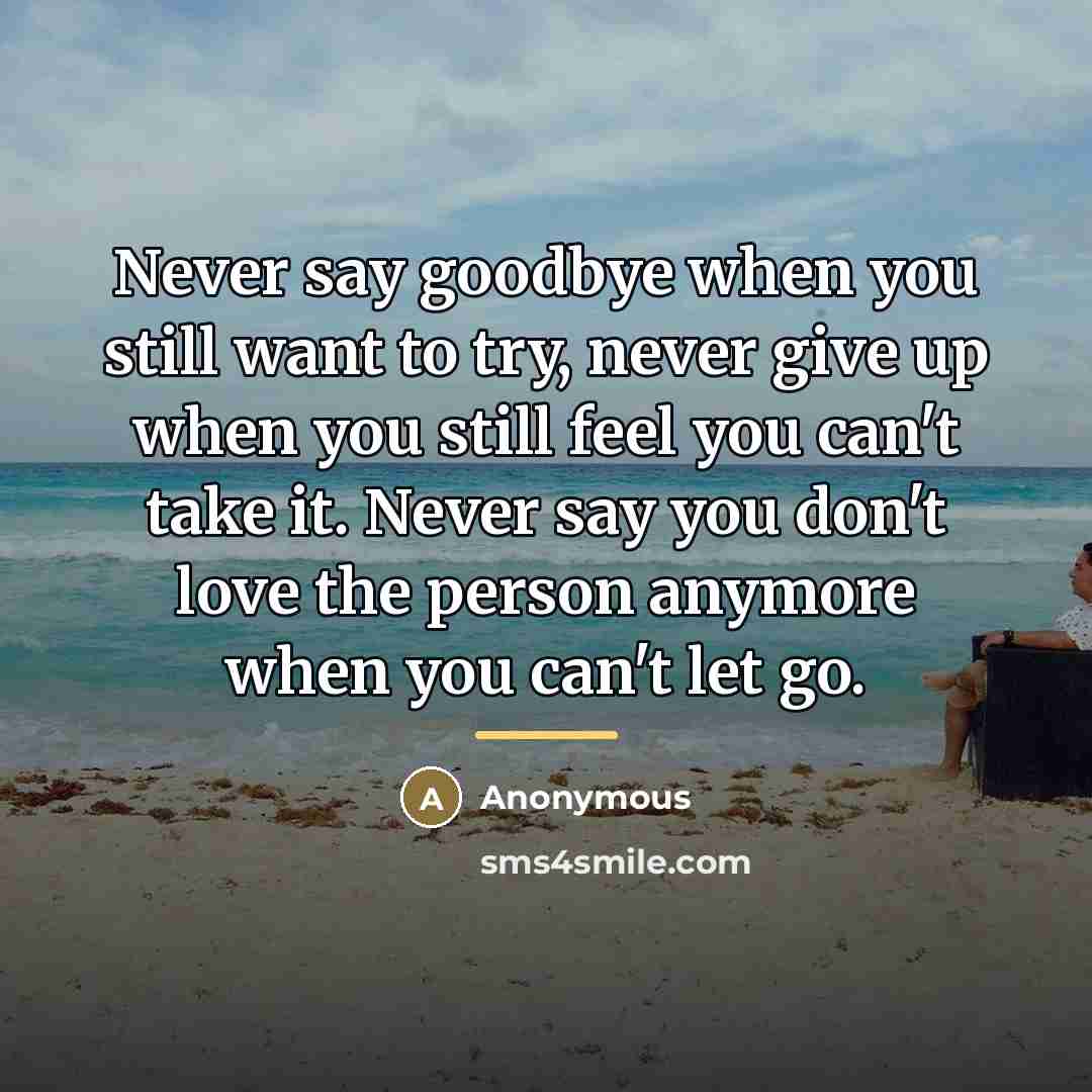 “Never say goodbye when you still want to try, never…” quote by Anonymous