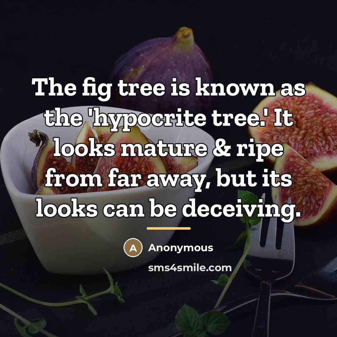 “The fig tree is known as the 'hypocrite tree.' It…” quote by Anonymous