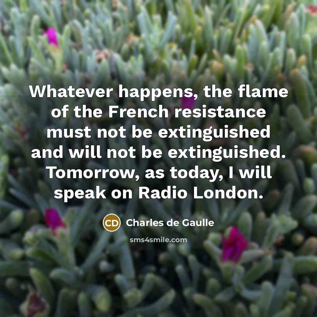 “Whatever happens, the flame of the French resistance must not…” quote by Charles de Gaulle