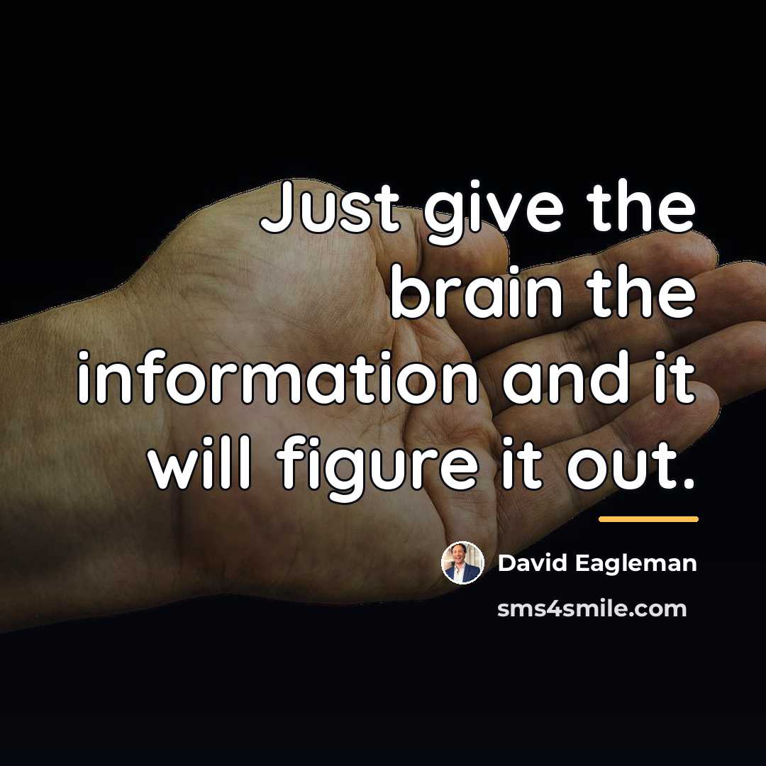 “Just give the brain the information and it will figure…” quote by David Eagleman