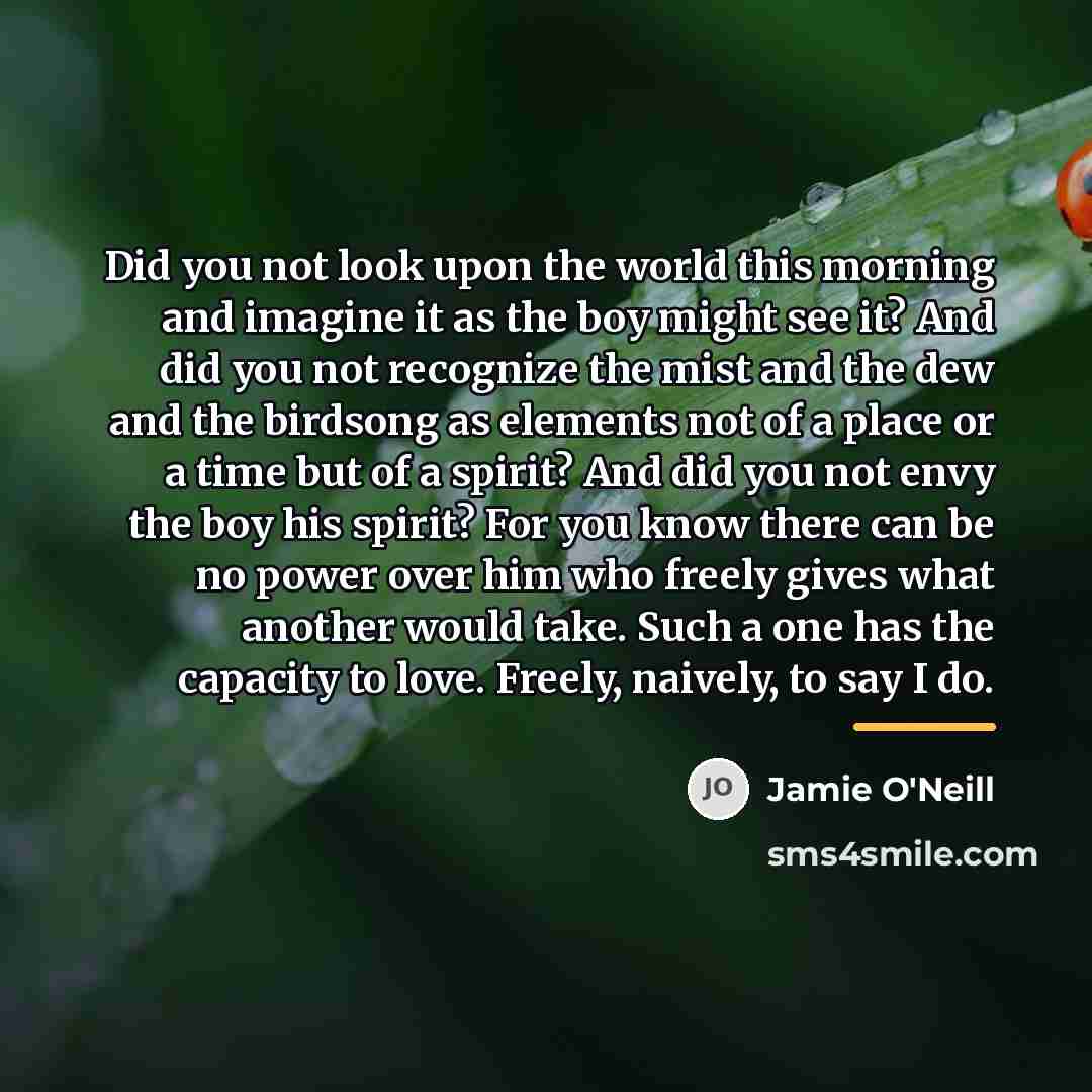 “Did you not look upon the world this morning and…” quote by Jamie O'Neill