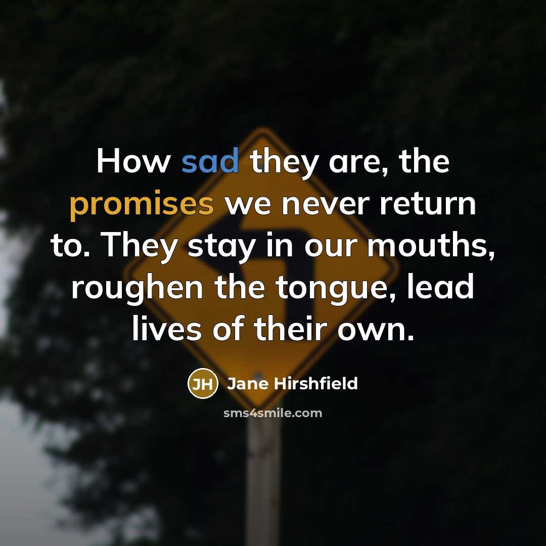 “How sad they are, the promises we never return to.…” quote by Jane Hirshfield