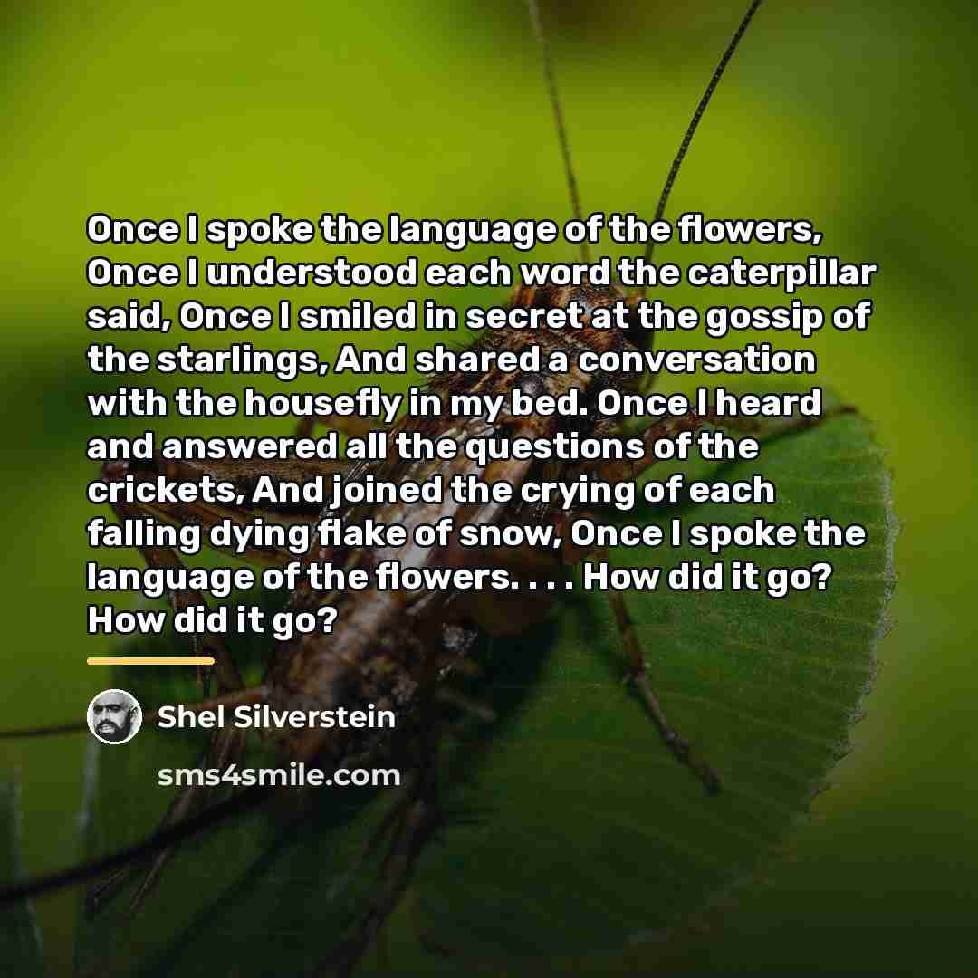 “Once I spoke the language of the flowers, Once I…” quote by Shel Silverstein
