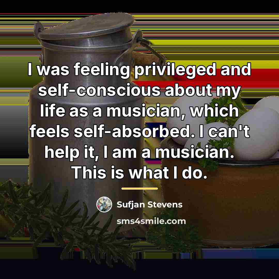 “I was feeling privileged and self-conscious about my life as…” quote by Sufjan Stevens
