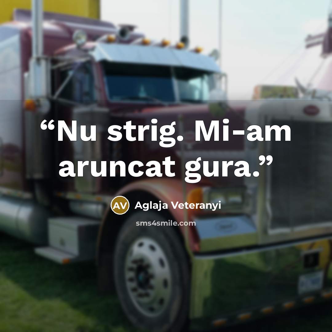 “Nu strig. Mi-am aruncat gura.” quote by Aglaja Veteranyi