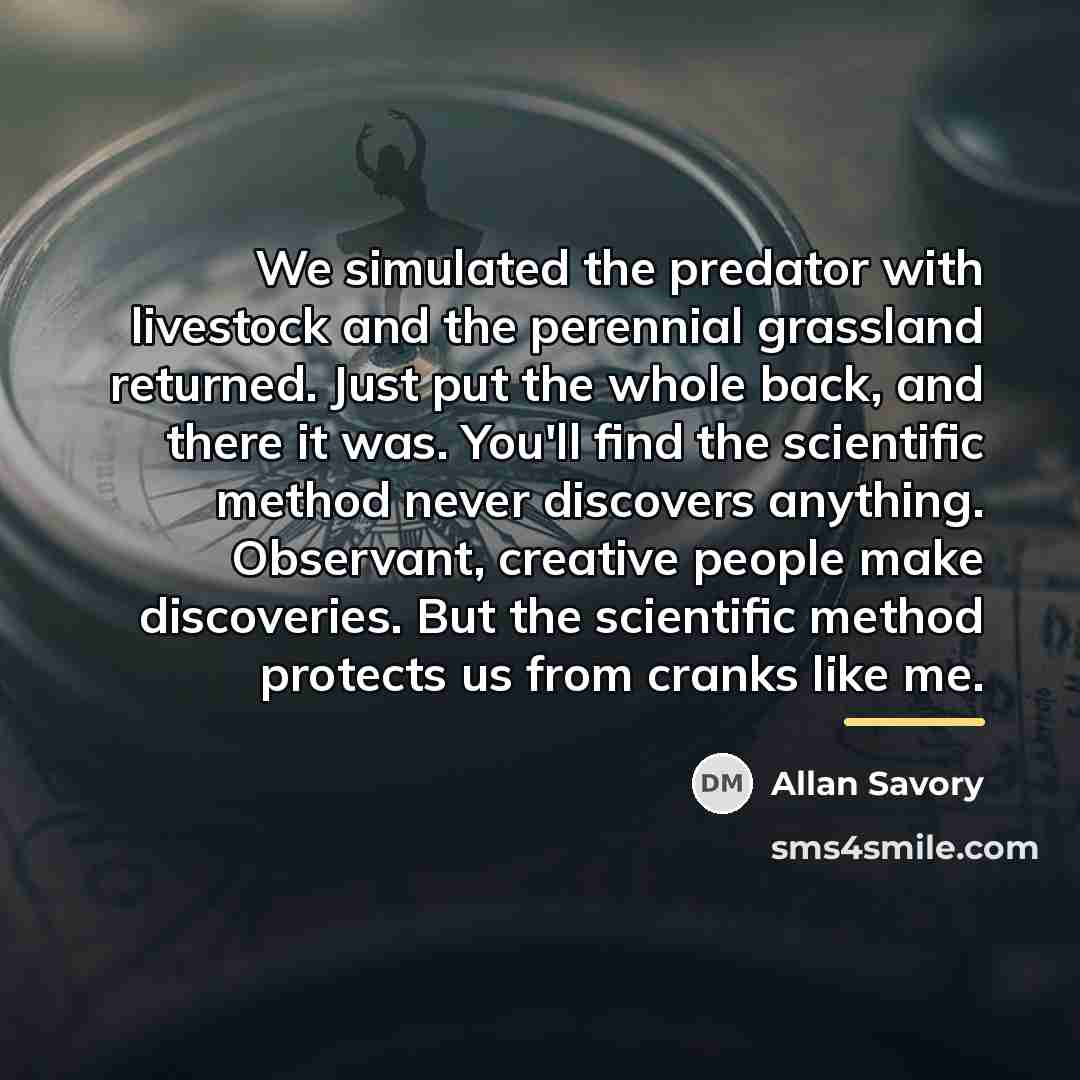 “We simulated the predator with livestock and the perennial grassland…” quote by Allan Savory