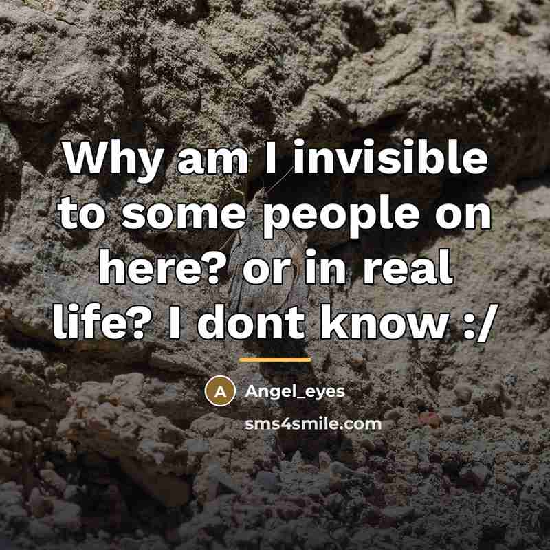 “Why am I invisible to some people on here? or…” quote by Angel_eyes
