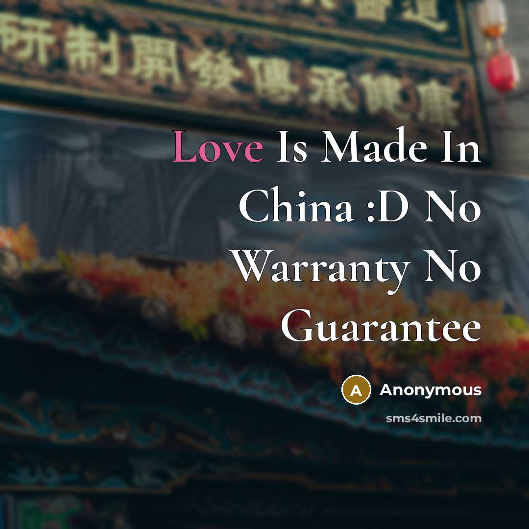 “Love Is Made In China :D No Warranty No Guarantee” quote by Anonymous