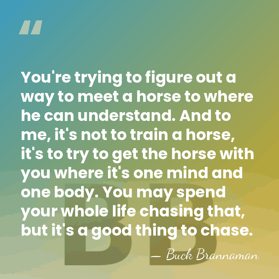 You're trying to figure out a way to meet a horse to&hellip; - Buck Brannaman