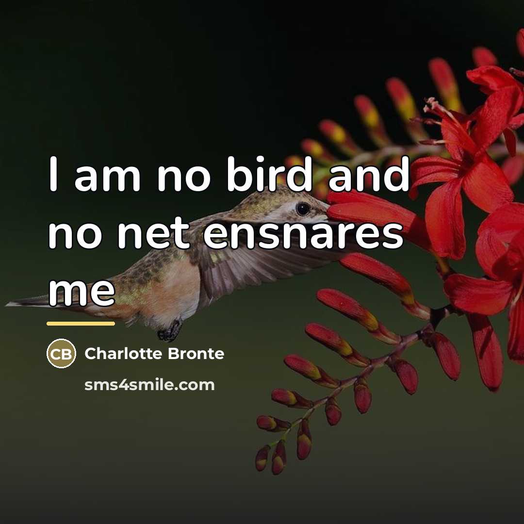 “I am no bird and no net ensnares me…” quote by Charlotte Bronte