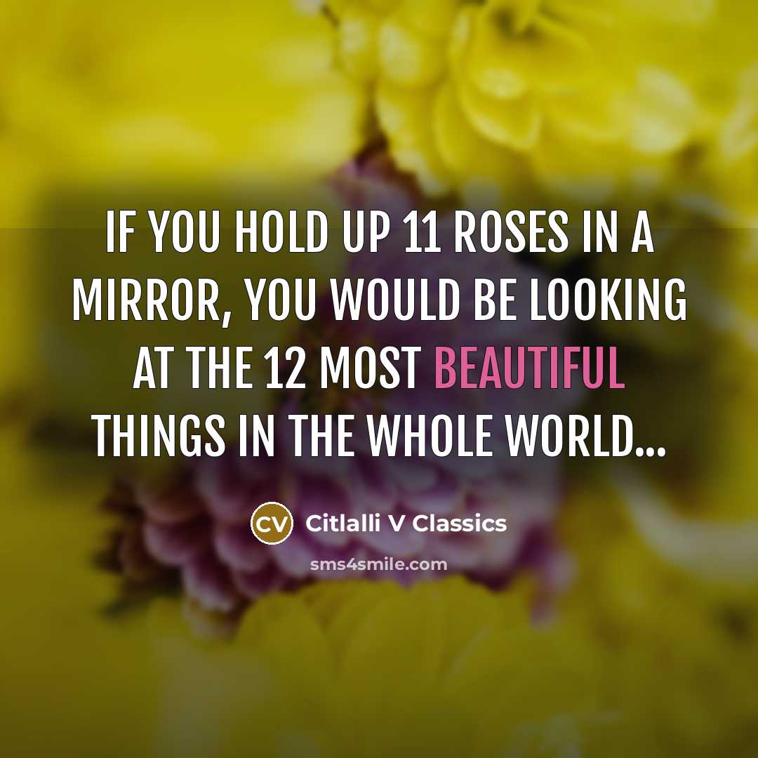“If you hold up 11 roses in a mirror, you would be looking at the 12 most beautiful things in the whole world...” quote by Citlalli V Classics