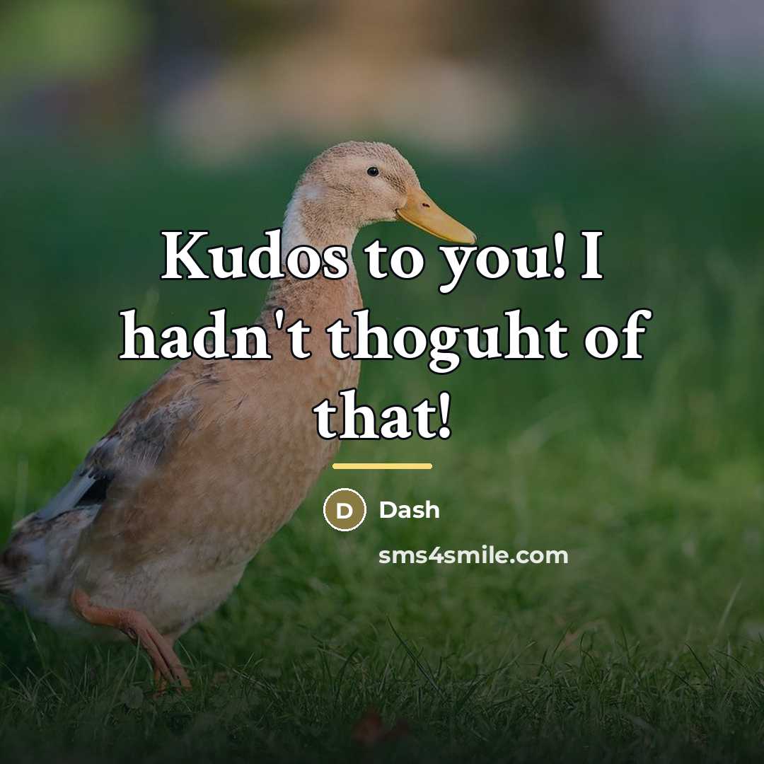 “Kudos to you! I hadn't thoguht of that!…” quote by Dash