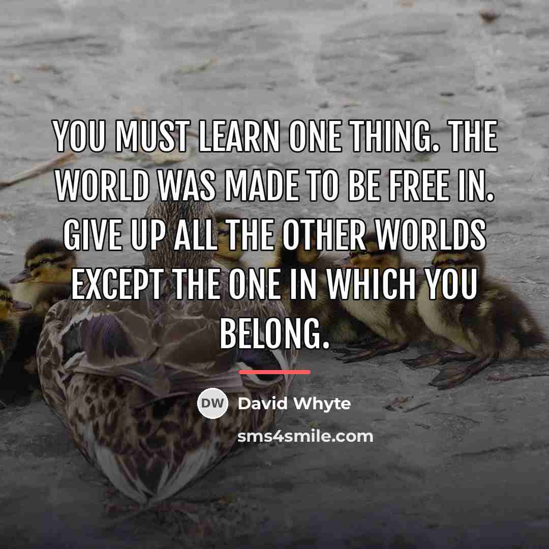 “You must learn one thing. The world was made to…” quote by David Whyte