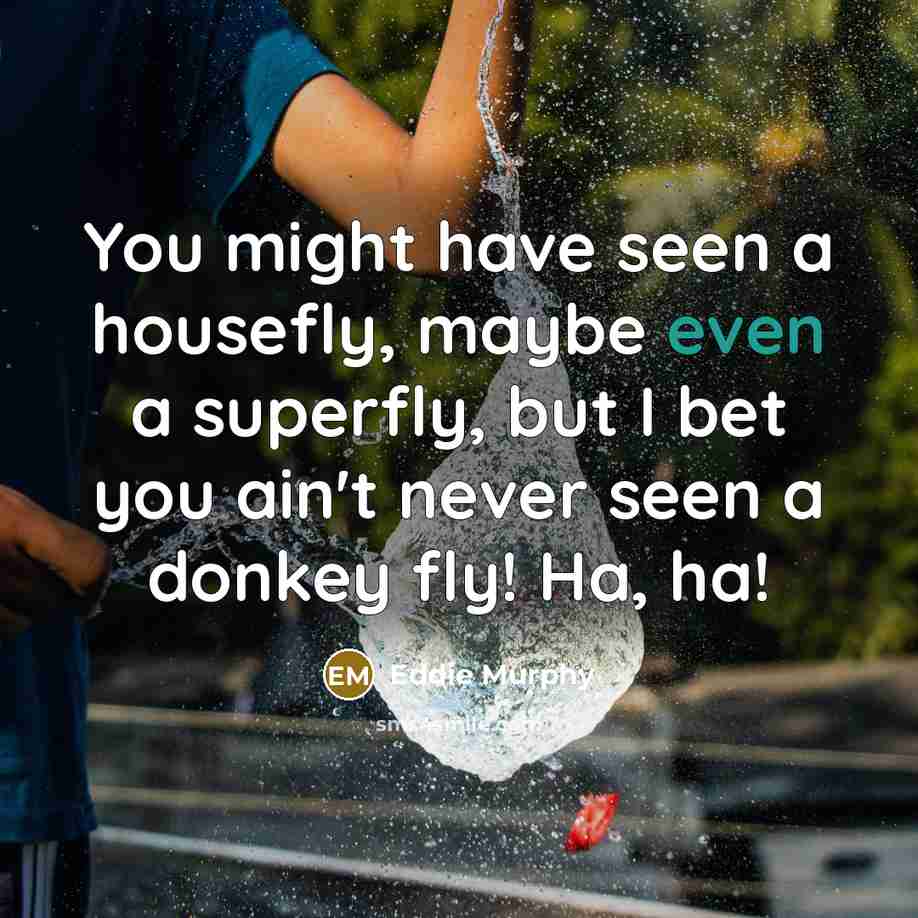 “You might have seen a housefly, maybe even a superfly,…” quote by Eddie Murphy