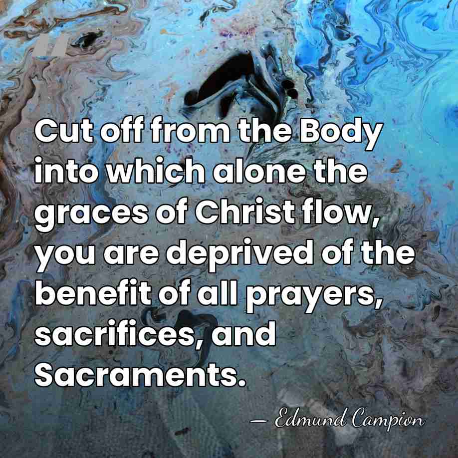 Cut off from the Body into which alone the graces of Christ&hellip; - Edmund Campion