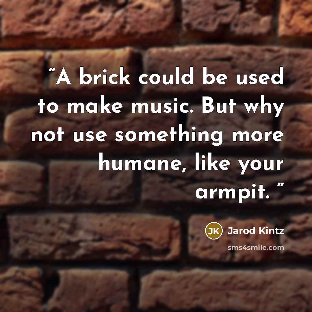 “A brick could be used to make music. But why not use something more humane, like your armpit.” quote by Jarod Kintz