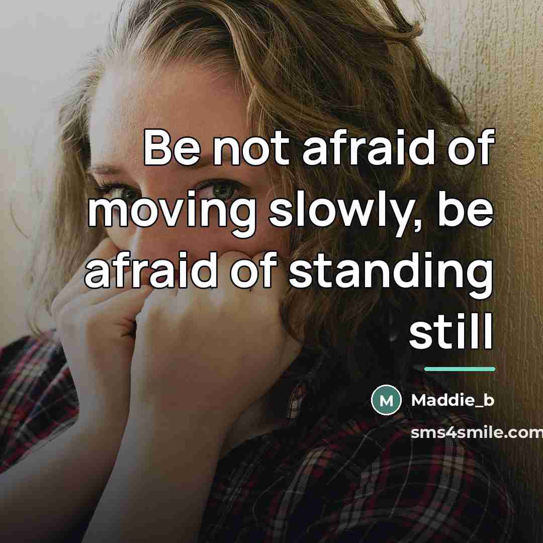 “Be not afraid of moving slowly, be afraid of standing…” quote by Maddie_b