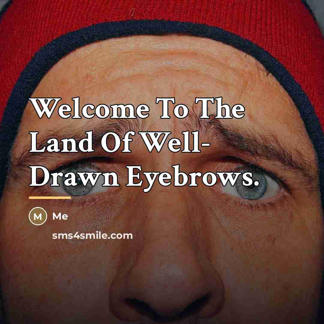 “Welcome To The Land Of Well- Drawn Eyebrows.…” quote by Me