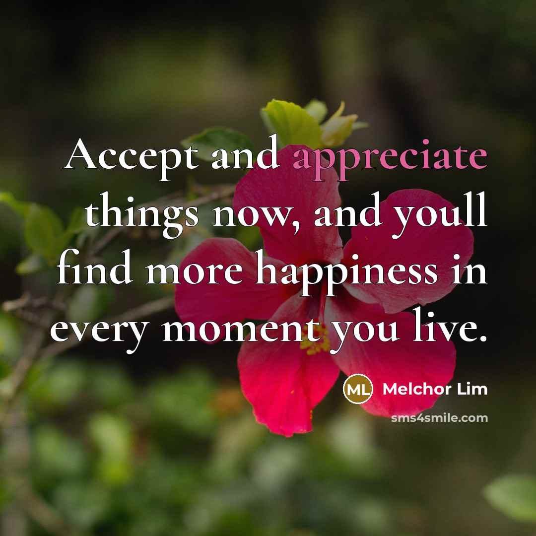 “Accept and appreciate things now, and youll find more happiness…” quote by Melchor Lim