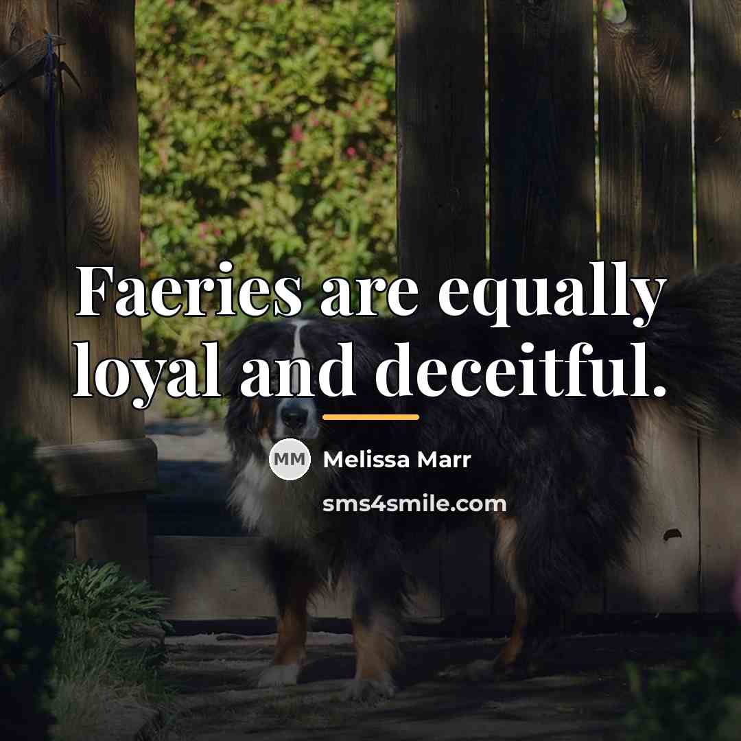 “Faeries are equally loyal and deceitful.…” quote by Melissa Marr
