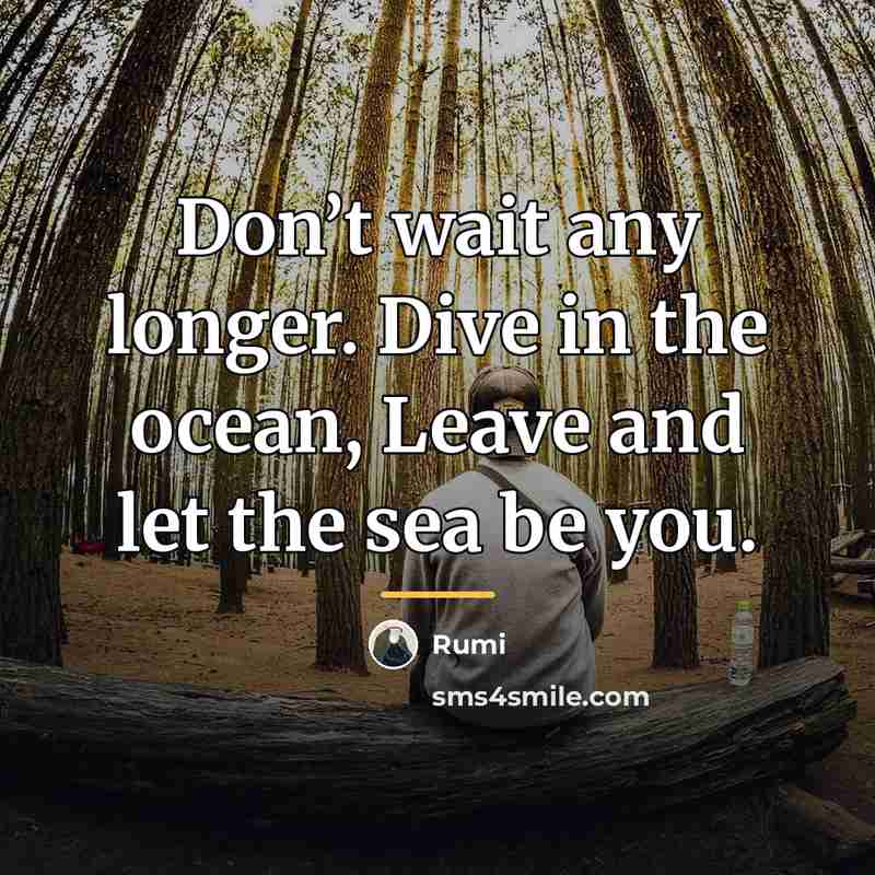 “Don’t wait any longer. Dive in the ocean, Leave and…” quote by Rumi
