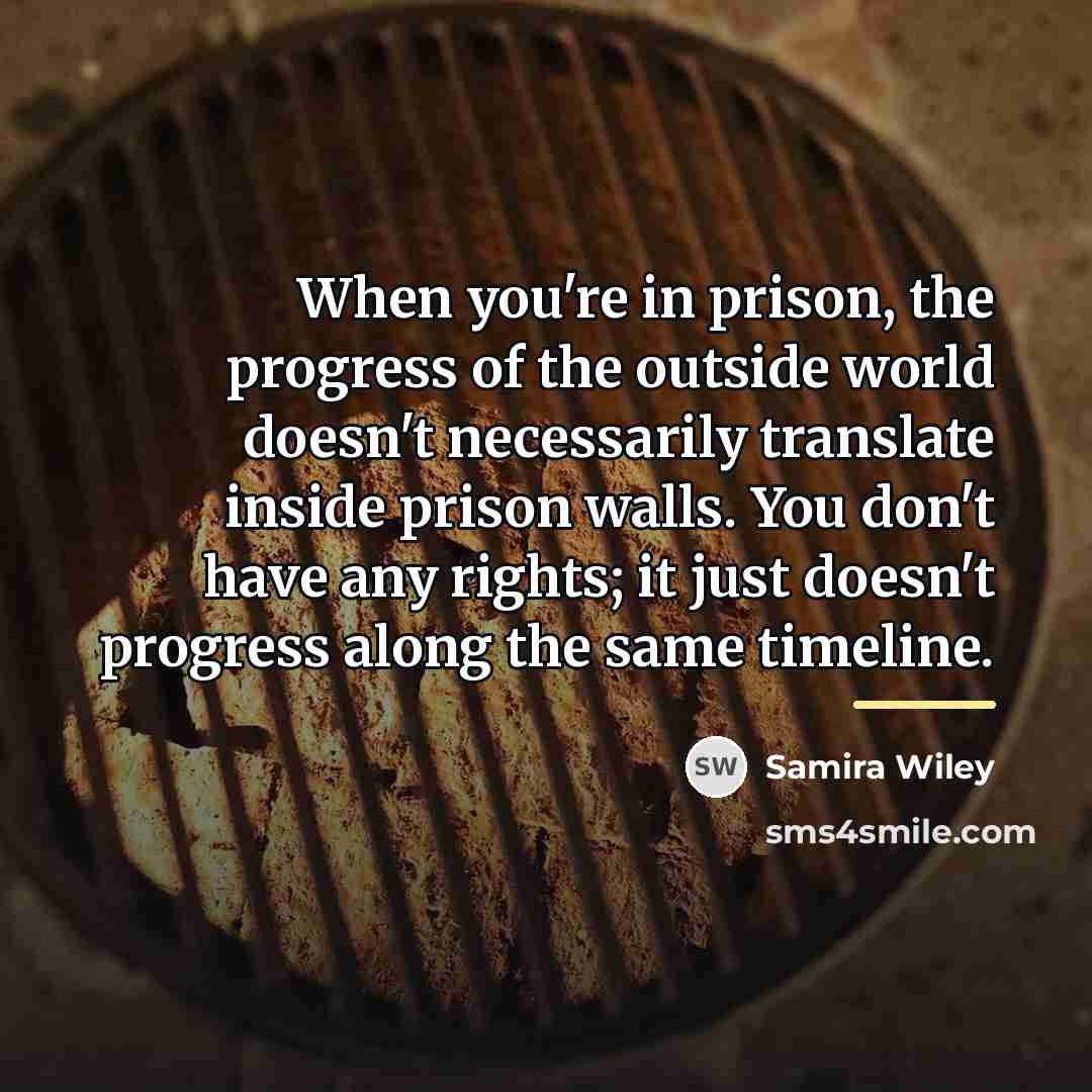 “When you're in prison, the progress of the outside world…” quote by Samira Wiley
