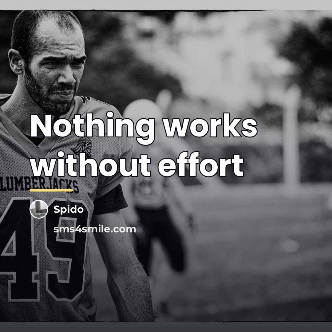 “Nothing works without effort…” quote by Spido