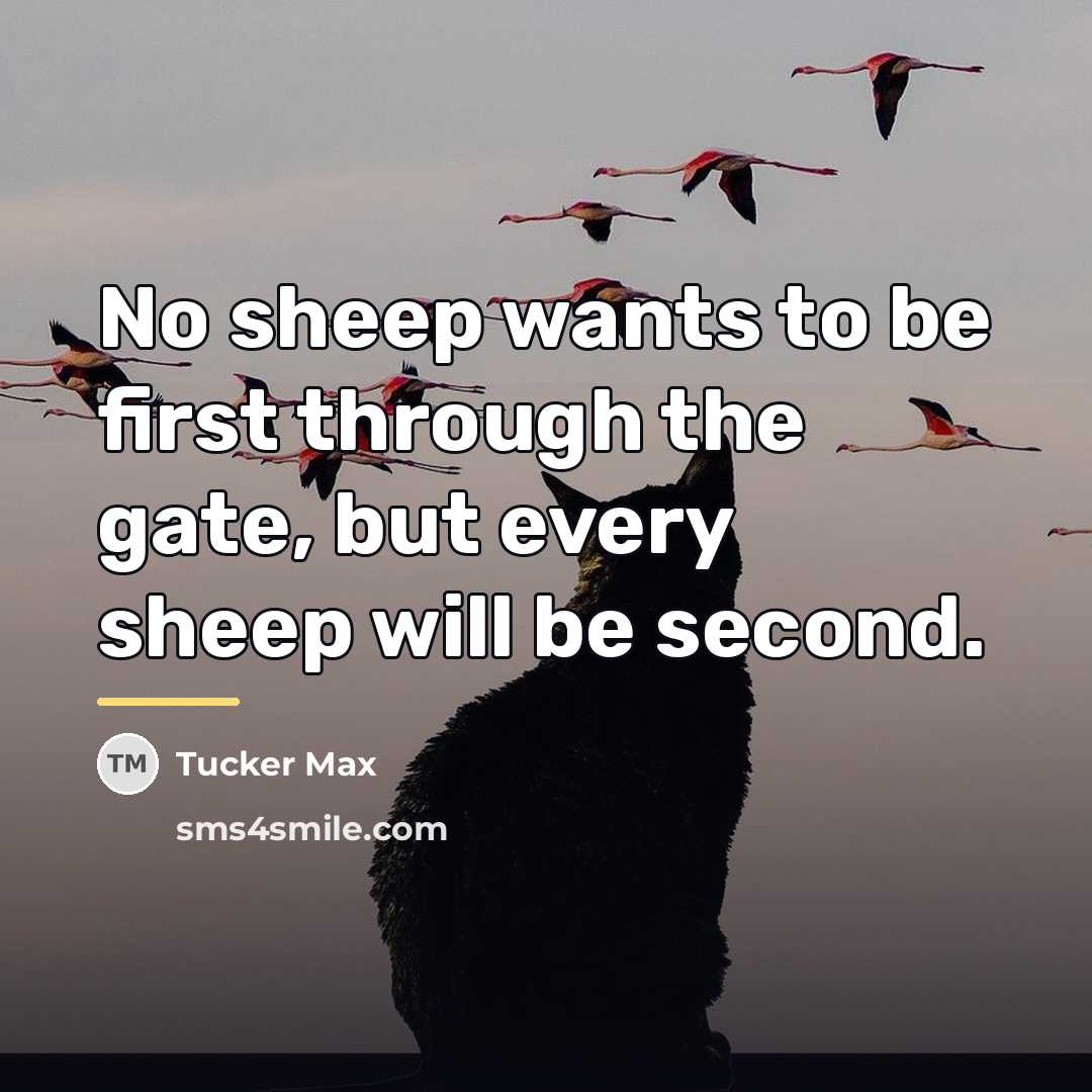 “No sheep wants to be first through the gate, but…” quote by Tucker Max