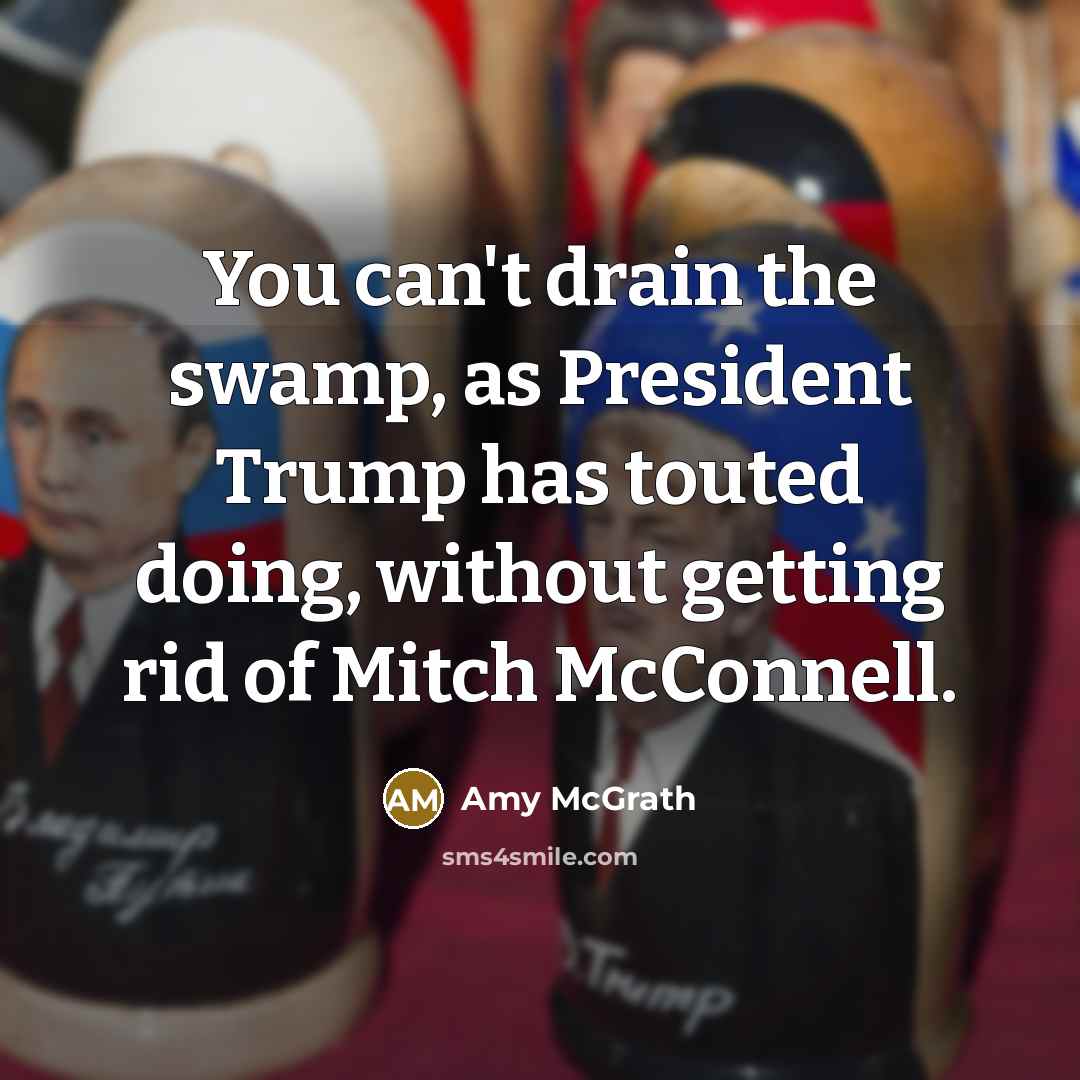 “You can't drain the swamp, as President Trump has touted…” quote by Amy McGrath