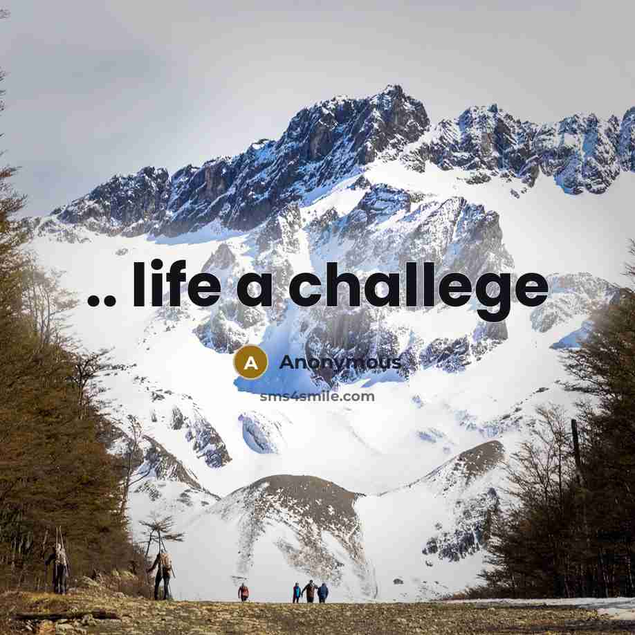 “.. life a challege…” quote by Anonymous