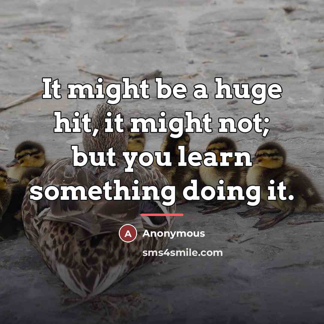 “It might be a huge hit, it might not; but…” quote by Anonymous